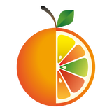 Load image into Gallery viewer, Citrus Tonic

