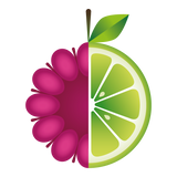 Load image into Gallery viewer, Raspberry Lime
